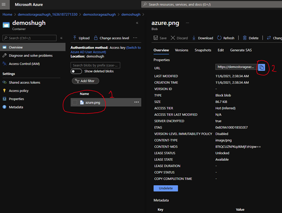 Manage Azure Blob storage using the Azure SDK